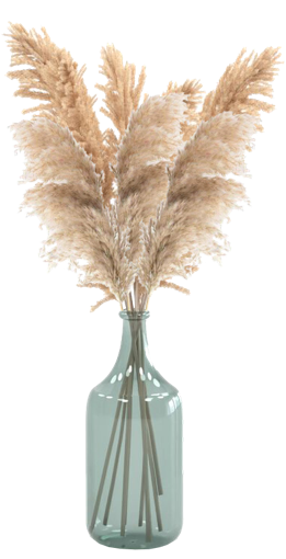 vase cropped