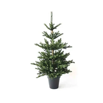 Alberi di Natale Slim