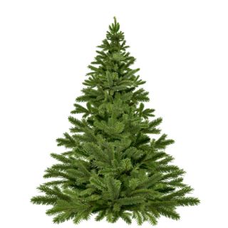 Alberi di natale